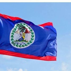 Meet your Posher, Will